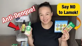 HOW TO PREVENT DENGUE AND BABY MUST HAVES! | Nins Po