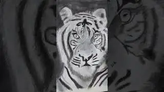 Bengal tiger portrait tutorial #shorts @jiyasharma2012