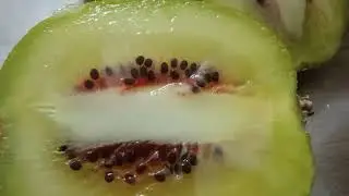 Red and golden kiwi 🥝 / Красная и золотистая кивинки 🥝 #kiwi #fruit #fruits #friuts #friut