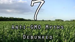 7 Anti-GMO myths debunked