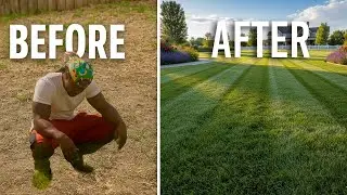 Transform Your Patchy Lawn in a Weekend: A Beginner's Guide to Seeding