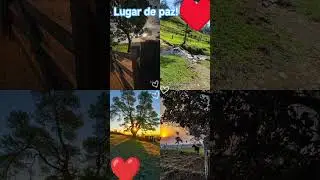lugar de paz #paz #pazinterior #natureza #turistando #youtubeshorts #shortsyoutube #shorts