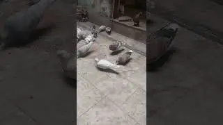 ajj ka chota sa soke h jorde wale a👍
