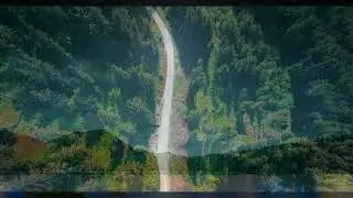 Noe Solis - Bajo la cubierta de tus alas