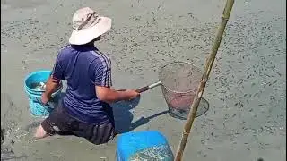 Mời cả nhà cùng đi bắt cá nhé🧏‍♀️🧏‍♀️🧏‍♀️🧏‍♀️...