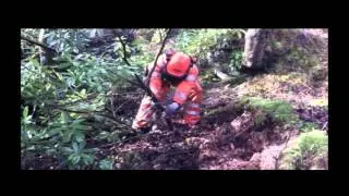 Removal of Rhododendron Ponticum in The Trossachs National Park