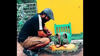 WECARE GARDENS / WEEKIDDY PLAY SCHOOL / EXTERIOR DECORATION / PLANTS/ GARDEN POOL /