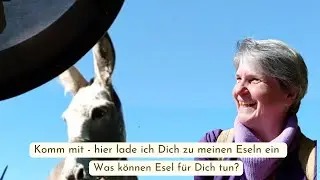 Was kann ein Esel f&uuml;r Dich tun?