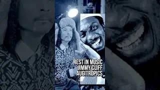 Jimmy Cliff - &bdquo;The Harder They Come&ldquo; - Rest in Music Auginal Remix Style No 36