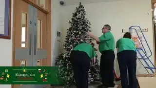 Christmas Tree Timelapse 2018