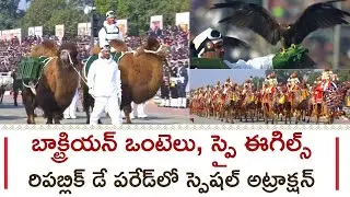 Kartavya Path Saw A Grand 77th Republic Day With Animals And Birds In The Parade