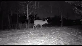Hunting in November