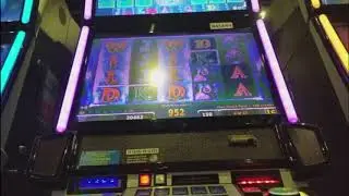 ICY WILDS - $$ MANY BONUS $$