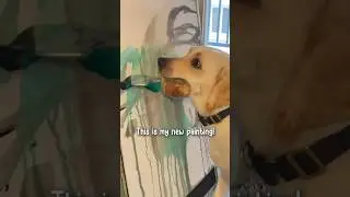 This dog artist is a master in watercolor! #dog #labrador #art