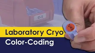 Laboratory Cryo Color-Coding Labels