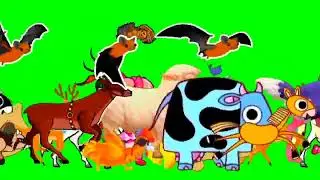 Cartoon animal stampede green screen | Animal stampede and running video‼️