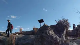Pixel 2 XL - Stabilization Test