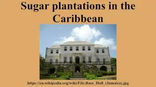 Sugar plantations in the Caribbean