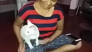 Miawn miawn