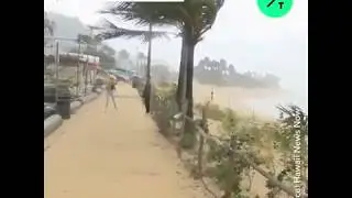 Hawaii Storm Brings 60-Foot Waves, Damaging Wind