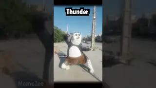 Thunder