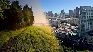 Urban vs Rural Conservatism