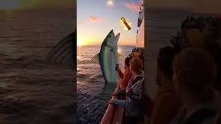 A Fish Juggling Fire?! People on the Ship Freeze 😱