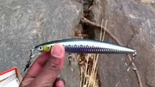Diawa SP  Minnow