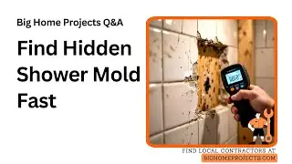 Behind Tile Mold Inspection Guide Replace Waterproofing