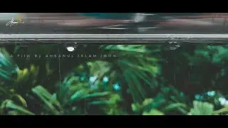 বৃষ্টি || Rain Drops falling, Nature || Raindrops sounds for sleeping.