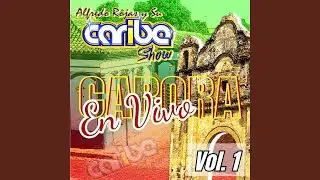 No la Voy a Dejar (En Vivo)