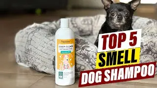 Top 5 Dog Shampoos for Odor Control: Keep Your Dog Smelling Fresh