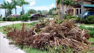 Commercial Yard Waste Removal And Recycling In Omaha NE | Omaha Junk Disposal