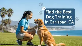 Find the Best Dog Training in Carlsbad California