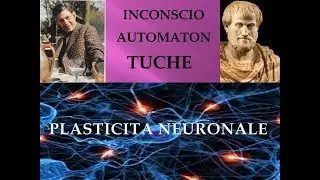 Lacan e Aristotele : Inconscio e Plasticit&agrave; neuronale - Psicanalisi e filosofia # 45