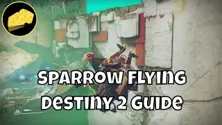 Sparrow Flying Guide