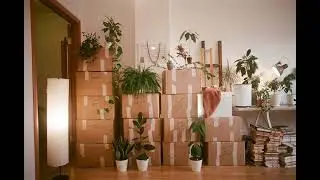 Downsizing to 500 Square Feet: Four Hard Decor Choices