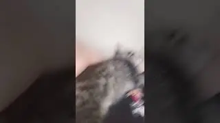 кит2