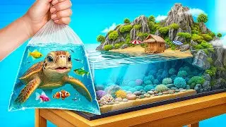 Construímos um aquário para peixes e uma tartaruga