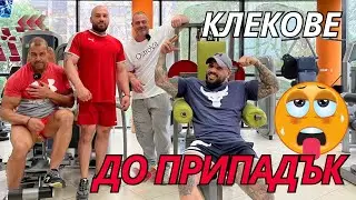 КЛЕКОВЕ ДО ПРИПАДЪК