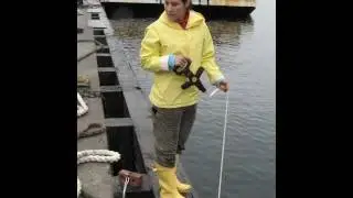 DVEX.wmv
