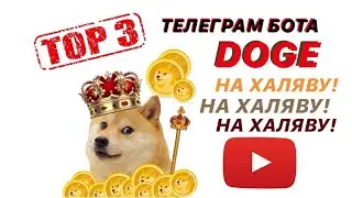 Топ 3 телеграмм  бота для заработка криптовалюты Doge в 2021 году