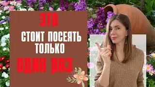 ОСТОРОЖНО! Эти цветы могут заполонить ваш сад (размножаются с невероятной скоростью)