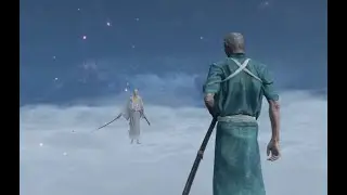 Requests: Isshin Ashina vs Jinsuke Saze