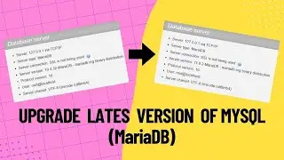How to Upgrade Latest Version of MySQL (MariaDB) in XAMPP Server 💻🎮 #xampp #mysql #mariadb
