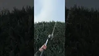 Fast garden trim 🌿💨 Perfectly satisfying ASMR ! #Satisfying #Garden #ASMR #Relaxing