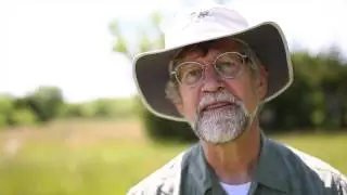 Gearing up for the 17-year cicadas