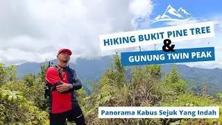 Hiking Pine Tree & Twin Peak- Panorama Pemandangan Kabus Indah