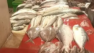 Pakistan Tv is live! Moosa Colony Fish Market Latest Fish Price Update