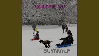 Winter V1.1